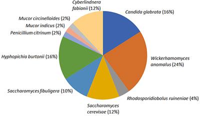 Amylolytic Fungi in the Ethnic Beer Starter “emao” and Their Beer-Producing Attributes